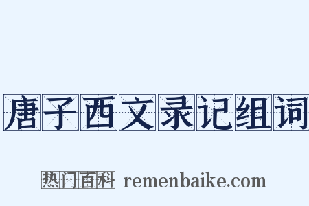 唐子西文录记组词是什么意思的图片